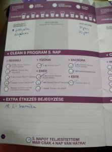 FLP Clean 9 napló