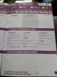FLP Clean 9 napló